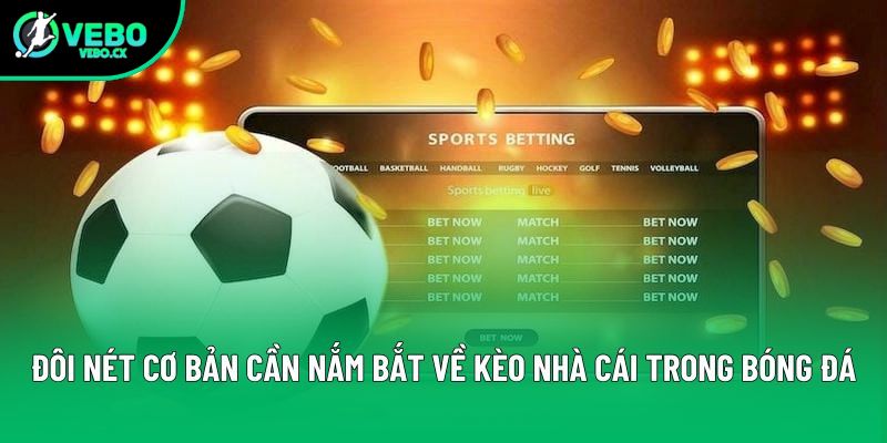Đôi nét cơ bản cần nắm bắt về kèo nhà cái trong bóng đá Đôi nét cơ bản cần nắm bắt về kèo nhà cái trong bóng đá